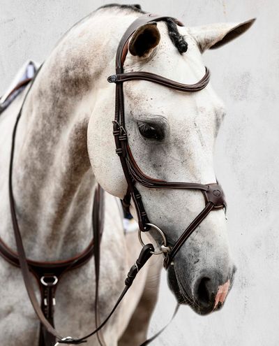 Ateena, pruun sild PS of Sweden