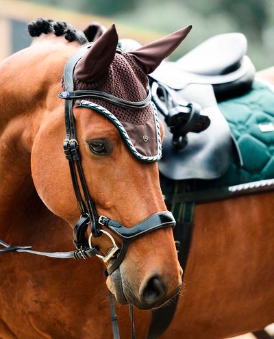 Emerald Fly Hat (Full)