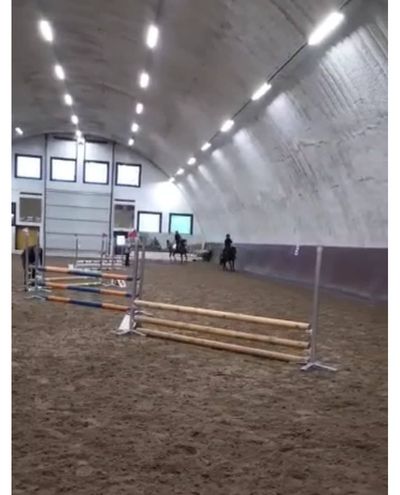 Gümnaasium 2 hobused sama omanik