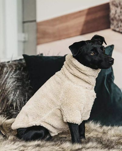 Teddy Fleece Dog Sweater (XXL)