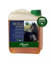 Muscle Energy Boost (2,5l päevane toode)