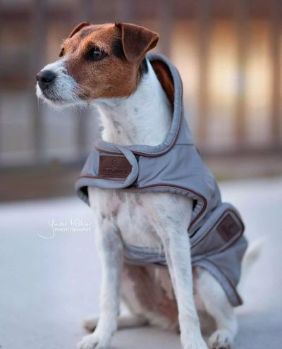 Dog Coat Reflective&Water repellent
