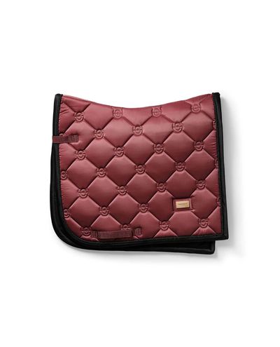 Kooli kapuuts Soft Rouge (täis)