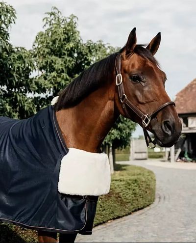 Rinnakaitse Horse BIB rinnakaitse Sheepskin Kentucky