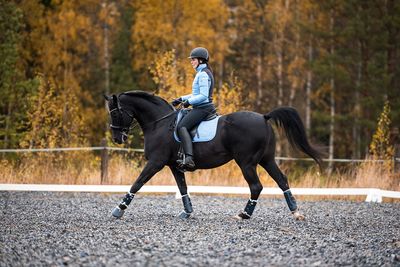 Jõusaali hooajapilet (6 kuud)